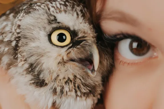 Paradise Casino Podrška